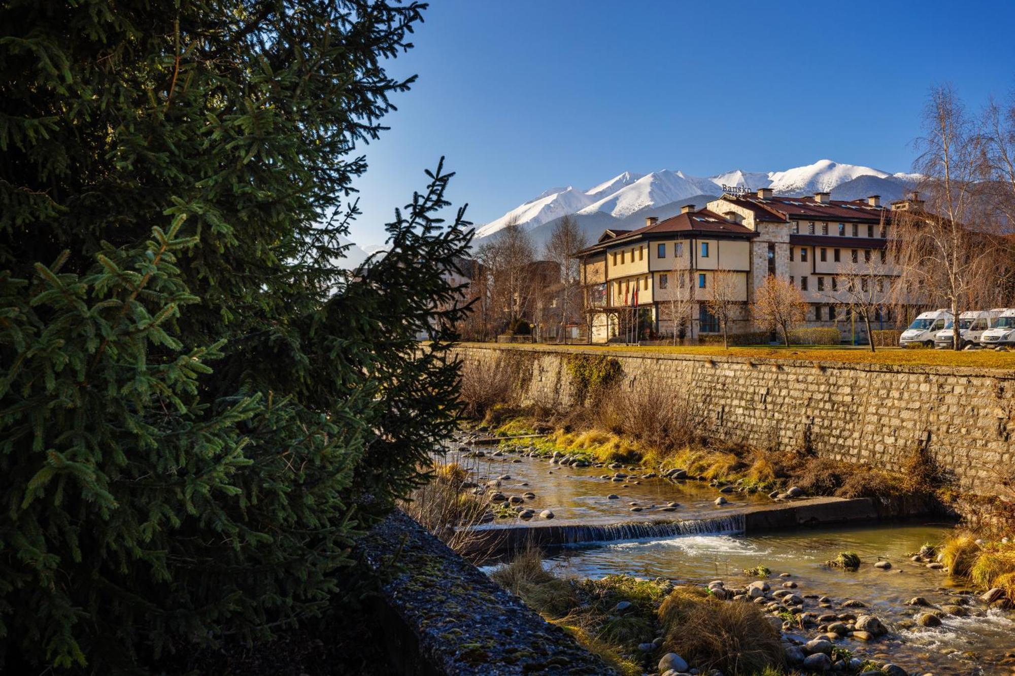 Coliving Bansko, The Social Hotel By Networking Premium Exterior photo